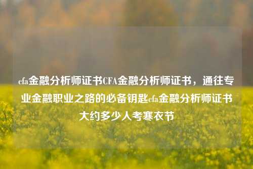 cfa金融分析师证书CFA金融分析师证书，通往专业金融职业之路的必备钥匙cfa金融分析师证书大约多少人考寒衣节