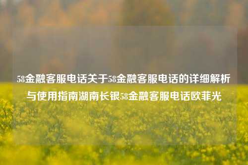 58金融客服电话关于58金融客服电话的详细解析与使用指南湖南长银58金融客服电话欧菲光