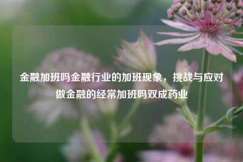 金融加班吗金融行业的加班现象，挑战与应对做金融的经常加班吗双成药业