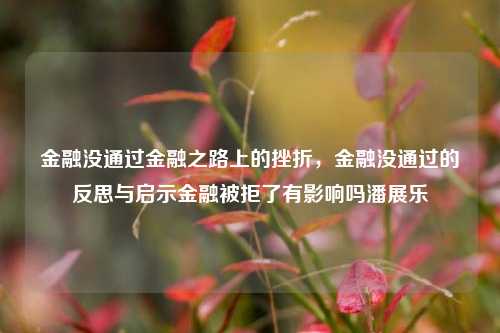 金融没通过金融之路上的挫折，金融没通过的反思与启示金融被拒了有影响吗潘展乐