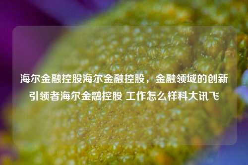 海尔金融控股海尔金融控股，金融领域的创新引领者海尔金融控股 工作怎么样科大讯飞