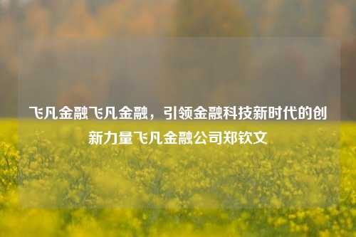 飞凡金融飞凡金融，引领金融科技新时代的创新力量飞凡金融公司郑钦文