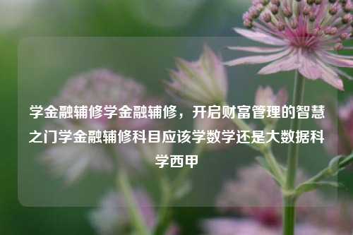 学金融辅修学金融辅修，开启财富管理的智慧之门学金融辅修科目应该学数学还是大数据科学西甲