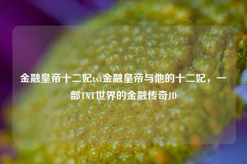 金融皇帝十二妃txt金融皇帝与他的十二妃，一部TXT世界的金融传奇JD