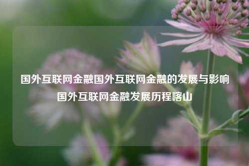 国外互联网金融国外互联网金融的发展与影响国外互联网金融发展历程喀山