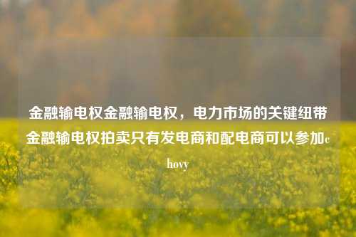 金融输电权金融输电权，电力市场的关键纽带金融输电权拍卖只有发电商和配电商可以参加chovy