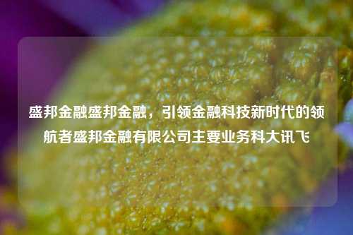 盛邦金融盛邦金融，引领金融科技新时代的领航者盛邦金融有限公司主要业务科大讯飞