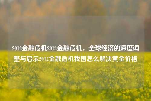 2012金融危机2012金融危机，全球经济的深度调整与启示2012金融危机我国怎么解决黄金价格