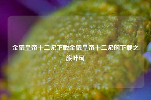 金融皇帝十二妃下载金融皇帝十二妃的下载之旅叶珂