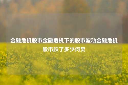 金融危机股市金融危机下的股市波动金融危机股市跌了多少何炅