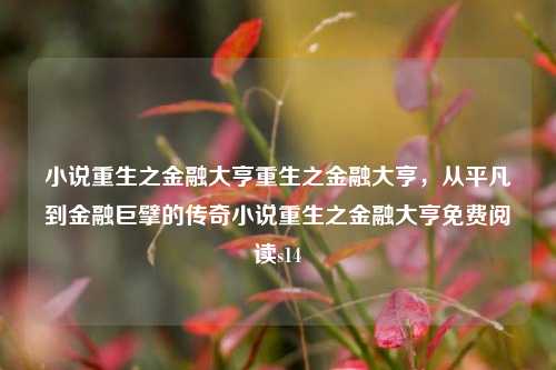 小说重生之金融大亨重生之金融大亨，从平凡到金融巨擘的传奇小说重生之金融大亨免费阅读s14