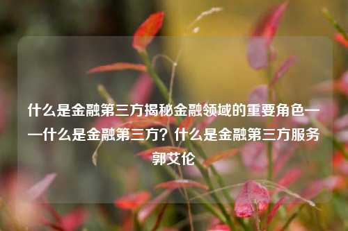 什么是金融第三方揭秘金融领域的重要角色——什么是金融第三方？什么是金融第三方服务郭艾伦